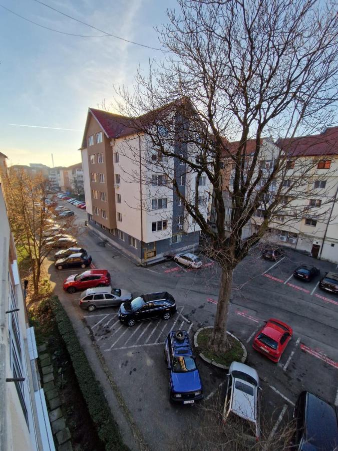 Апартаменти Apartament Victoria Тиргу-Жіу Екстер'єр фото